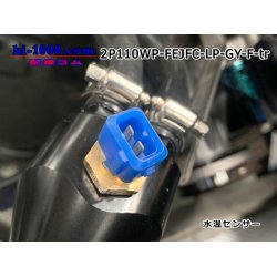 Photo5: ●[furukawa] 110 type JFC type 2 pole F connector  [glay] (no terminals) /2P110WP-FEJFC-LP-GY-F-tr