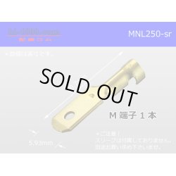 Photo1: [Nippon Tanshi]250 Type  No lock M terminal   only  ( No sleeve )/MNL250-sr