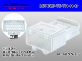 Photo: ●[TE] 025 type series 16 pole M connector[white] (no terminals) /16P025-TE-TH-M-tr