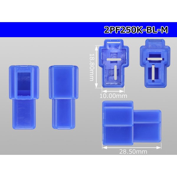 Photo3: ●[yazaki] 250 type 2 pole CN(A) series M connector[blue] (no terminals) /2PF250-BL-M-tr (3)