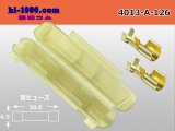 Photo: Tube fuse holder parts /4013-A-126