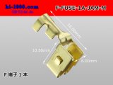 Photo: F-FUSE-1A-JAM-M for the fuseholder made in JAM/Terminal