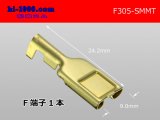 Photo: 305 Type  [SWS] MT series  female  terminal /F305-SMMT