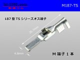 Photo: 187 Type  [SWS] TS series M Terminal /M187-TS