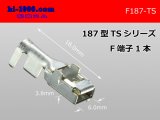 Photo: 187 Type  [SWS] TS series F Terminal /F187-TS