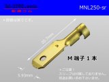 Photo: [Nippon Tanshi]250 Type  No lock M terminal   only  ( No sleeve )/MNL250-sr