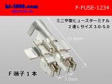 Photo: Mini flat type  Type fuse Terminal   Duplicate   L size AVS3.0-5.0