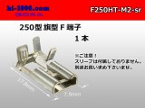 Photo: 250 Type  Flag type  female  terminal -M2( One   only  ) [No terminal cover] F250HT-M2-sr