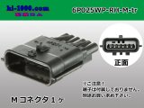 Photo: ●[yazaki]025 type RH waterproofing series 6 pole M connector (no terminals) /6P025WP-RH-M-tr